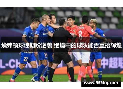 埃弗顿球迷期盼逆袭 绝境中的球队能否重拾辉煌